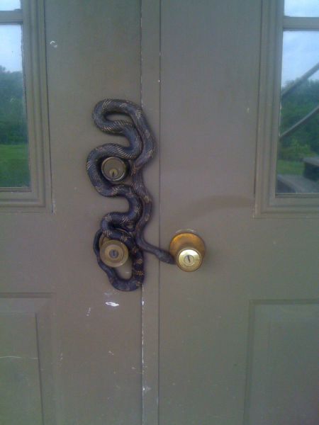 Acid Picdump (94 pics)