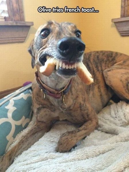 Acid Picdump (94 pics)