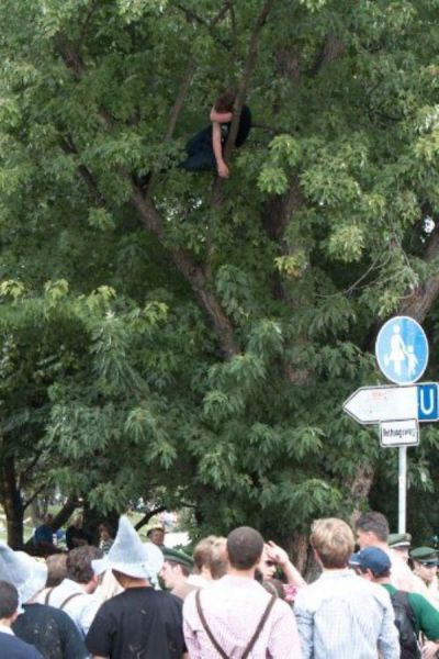 Acid Picdump (94 pics)