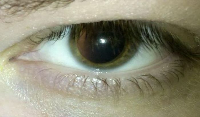 Look For These Signs If You're Trying To Spot The Liars In The Room (24 pics)