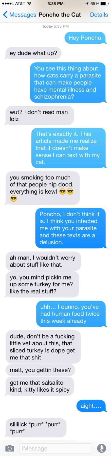 Man Tries To Prove He's Not Insane By Texting With His Cat (4 pics)