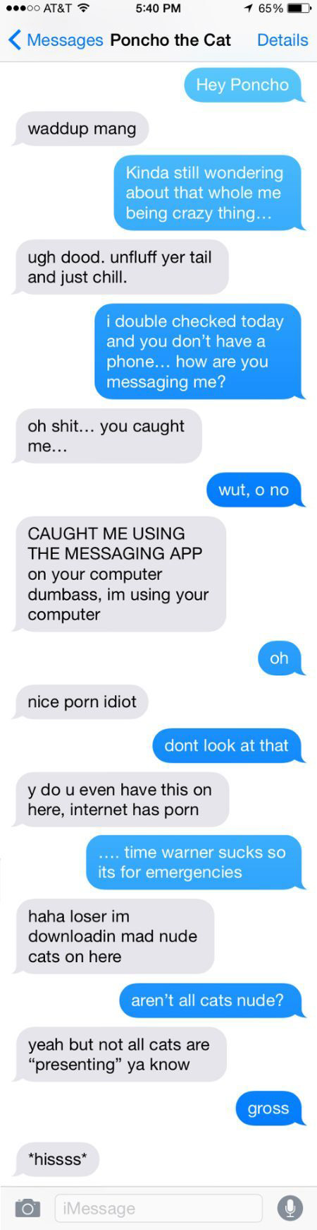 Man Tries To Prove He's Not Insane By Texting With His Cat (4 pics)