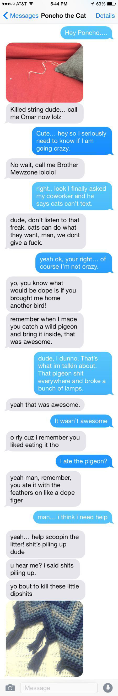 Man Tries To Prove He's Not Insane By Texting With His Cat (4 pics)