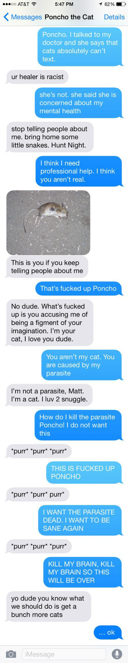 Man Tries To Prove He's Not Insane By Texting With His Cat (4 pics)
