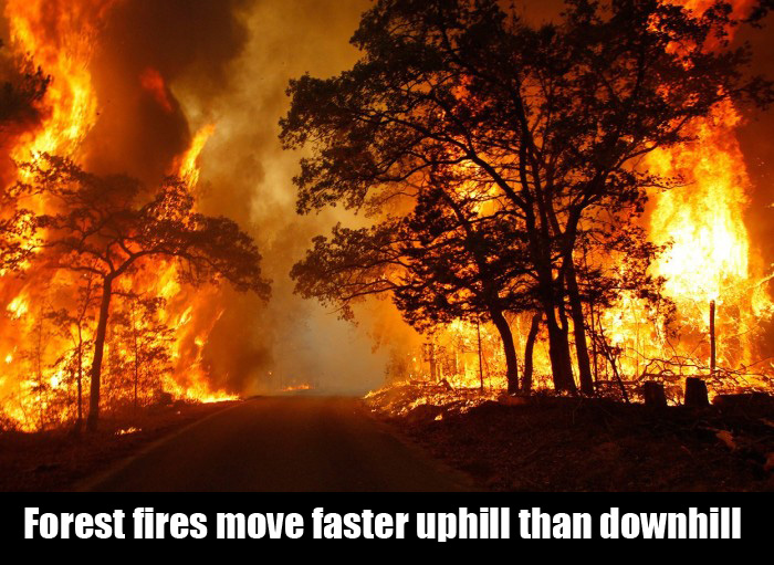 Do Your Brain A Favor And Learn These Shocking Facts (19 pics)