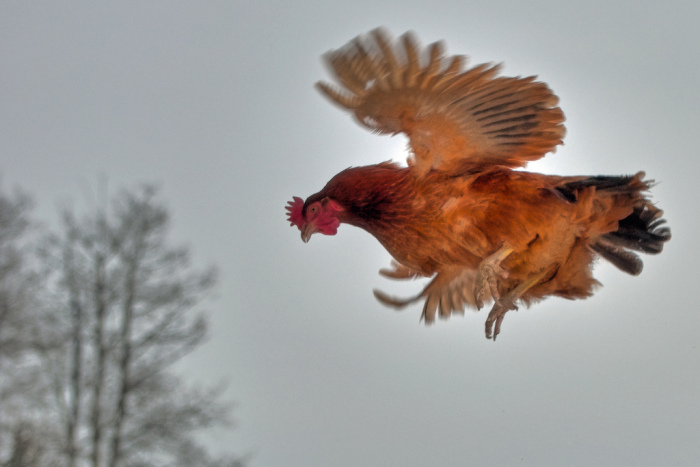 Do Your Brain A Favor And Learn These Shocking Facts (19 pics)