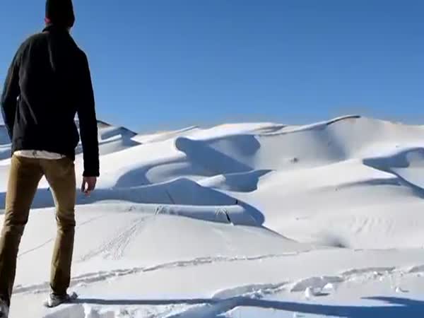 Eric Of Arabia