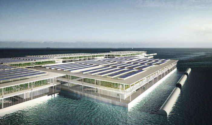 Could This Floating Solar Farm Be The Farm Of The Future? (7 pics)