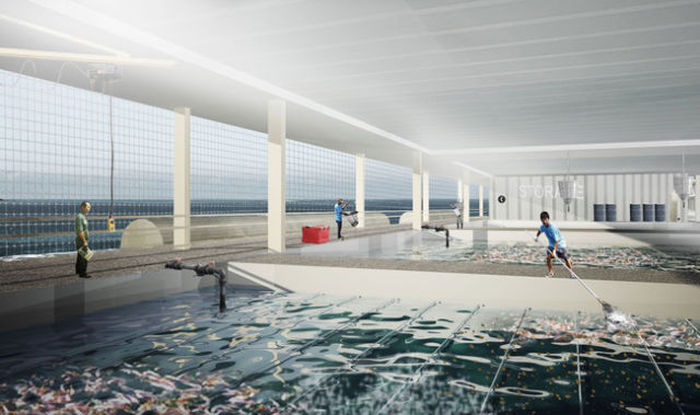 Could This Floating Solar Farm Be The Farm Of The Future? (7 pics)