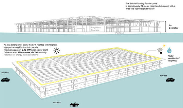 Could This Floating Solar Farm Be The Farm Of The Future? (7 pics)