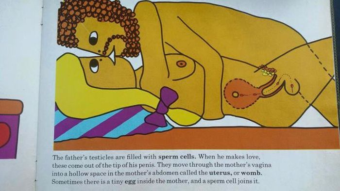 This Graphic Kids Book From 1975 Shows How Babies Are Made (17 pics)