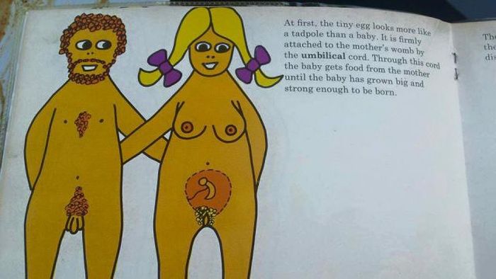 This Graphic Kids Book From 1975 Shows How Babies Are Made (17 pics)