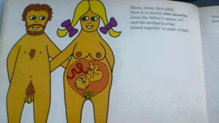 This Graphic Kids Book From 1975 Shows How Babies Are Made (17 pics)