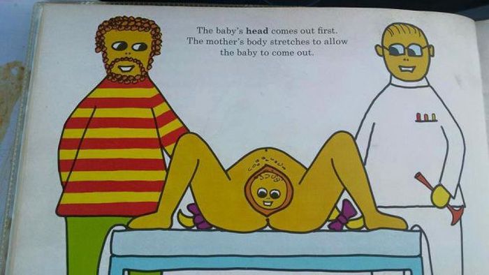 This Graphic Kids Book From 1975 Shows How Babies Are Made (17 pics)