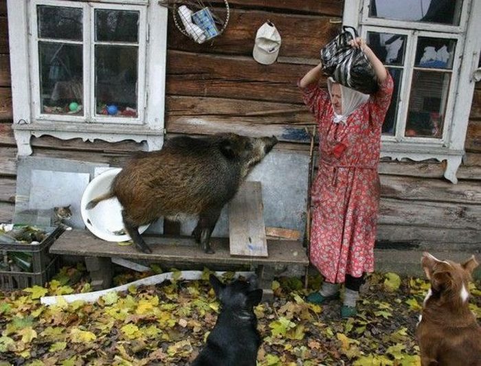 Acid Picdump (101 pics)