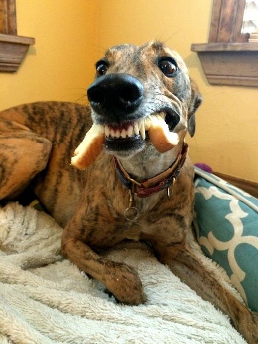 Acid Picdump (101 pics)
