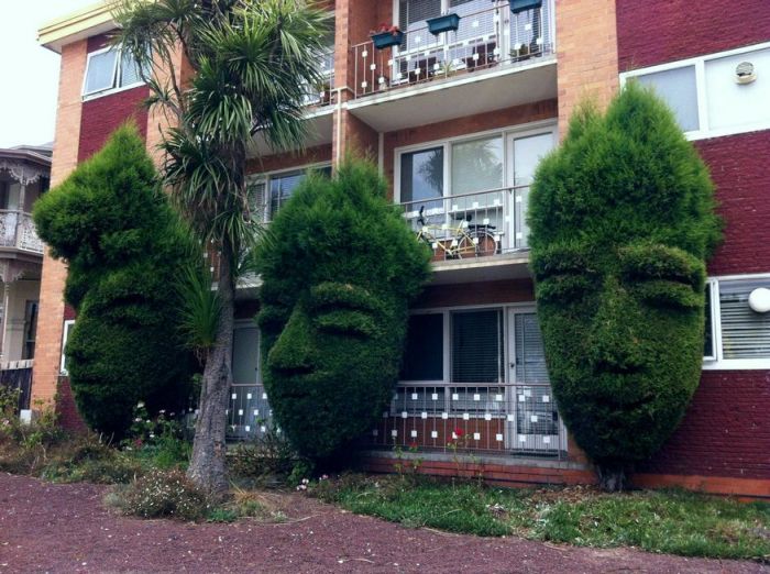 Acid Picdump (101 pics)
