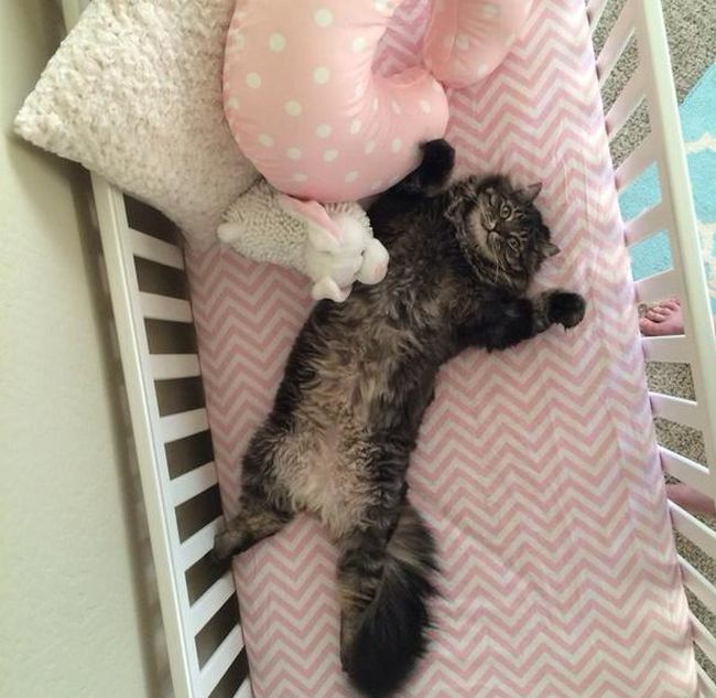 Acid Picdump (101 pics)