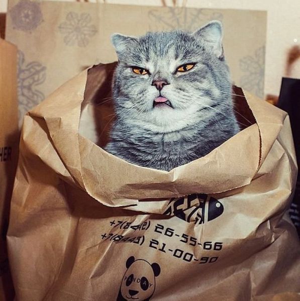 Acid Picdump (101 pics)