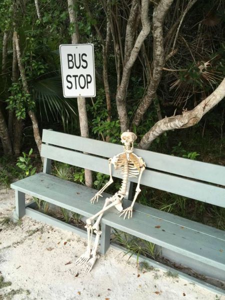 Acid Picdump (101 pics)
