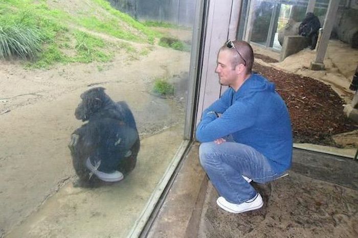 Acid Picdump (96 pics)