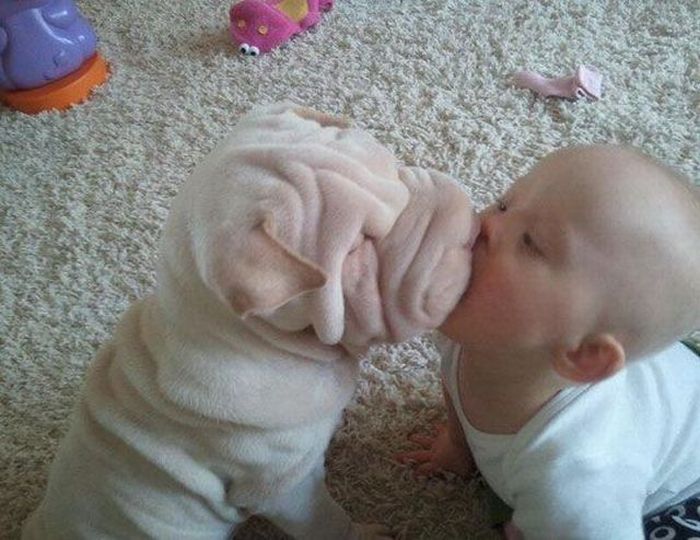 Acid Picdump (96 pics)