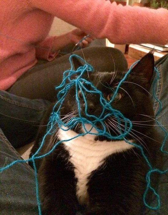 Acid Picdump (96 pics)