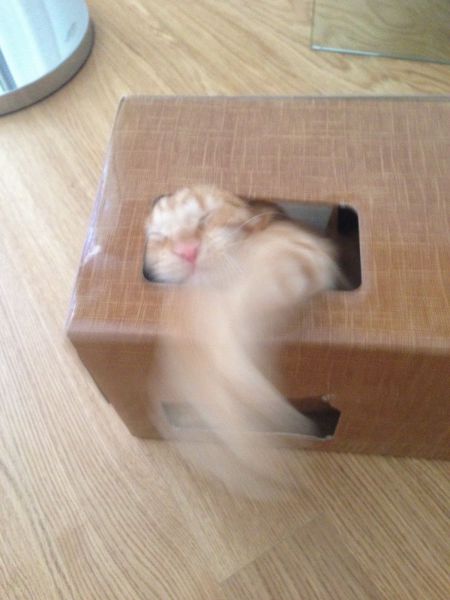 Acid Picdump (96 pics)