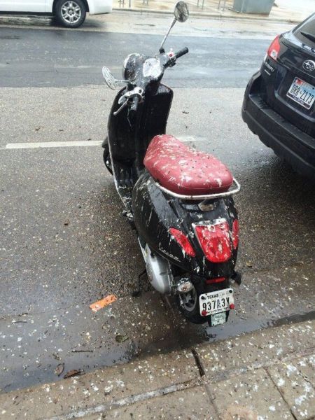 Acid Picdump (96 pics)