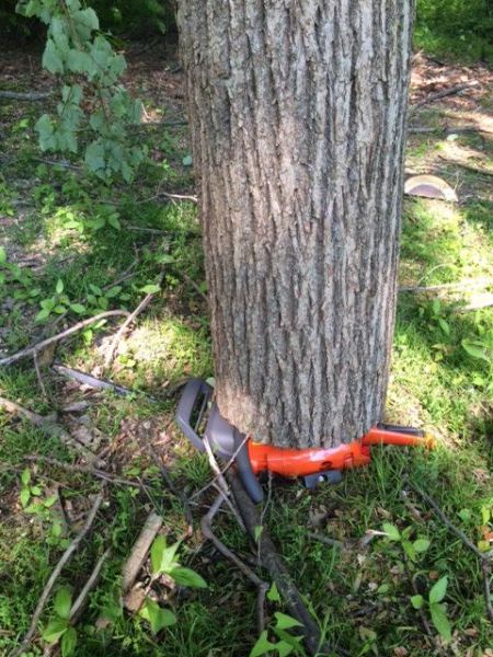 Acid Picdump (96 pics)