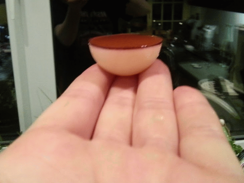 How to Make a Yummy Drunken Pokeball (24 pics)