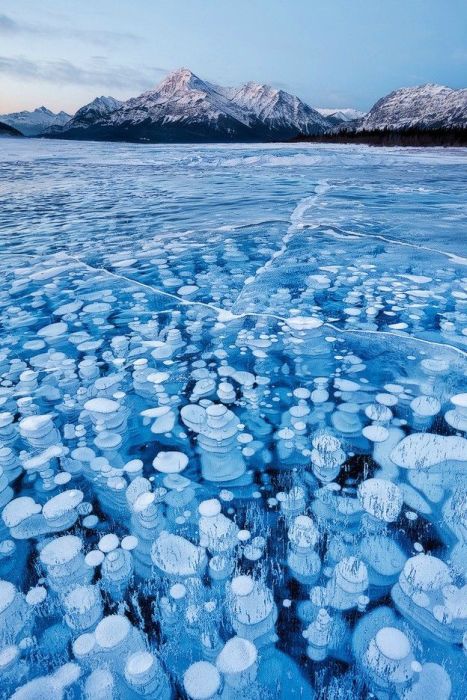 Nature in All Its Spectacular Glory (45 pics)