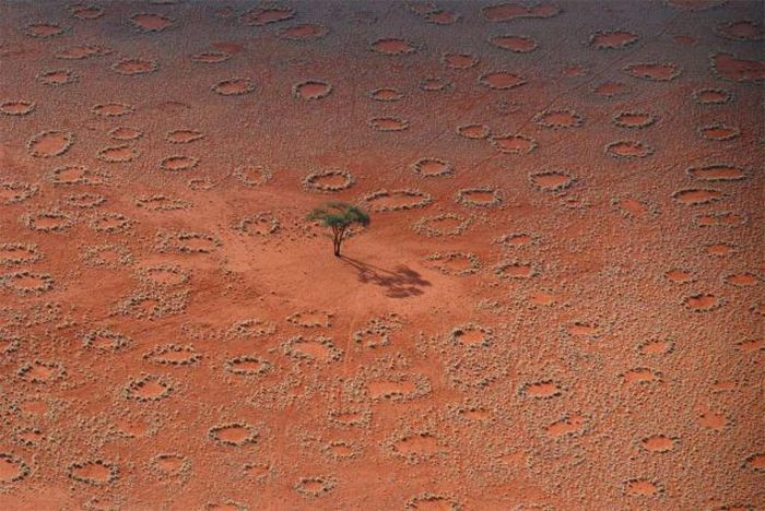 Nature in All Its Spectacular Glory (45 pics)
