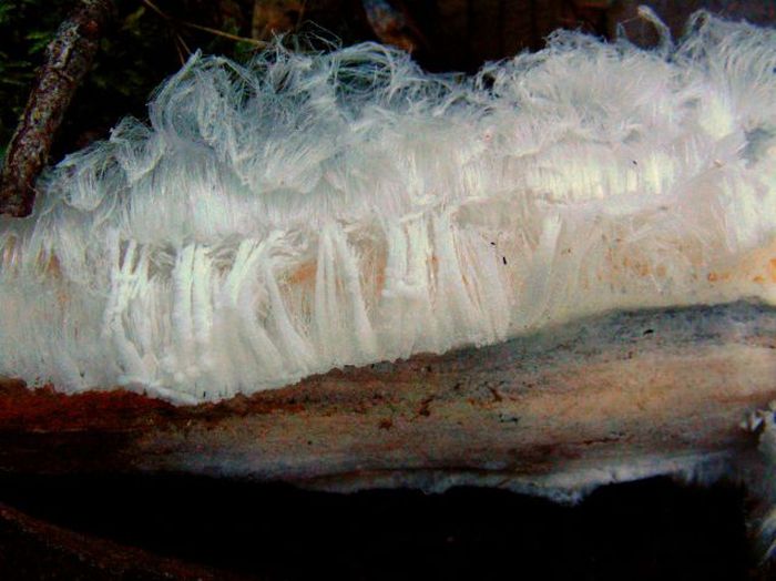 Nature in All Its Spectacular Glory (45 pics)