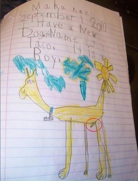 Innocent Kid's Drawings That Adults Will See Differently (10 pics)
