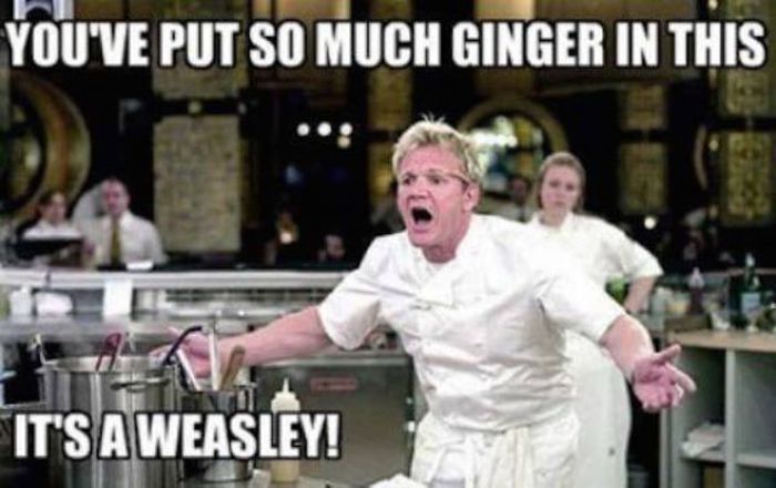Gordan Ramsay Knows How To Cook Up Some Very Salty Insults (32 pics)