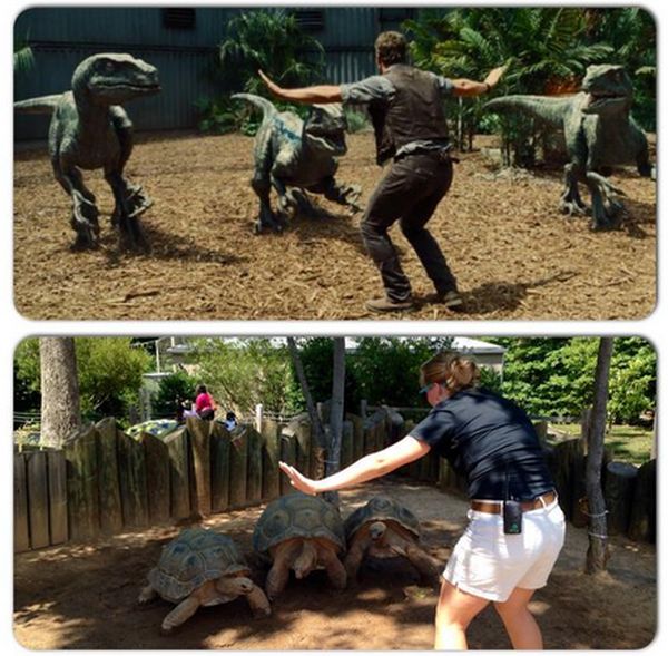 Zoo Staff Are Re-Creating “Jurassic World” With Their Animals  (20 pics)