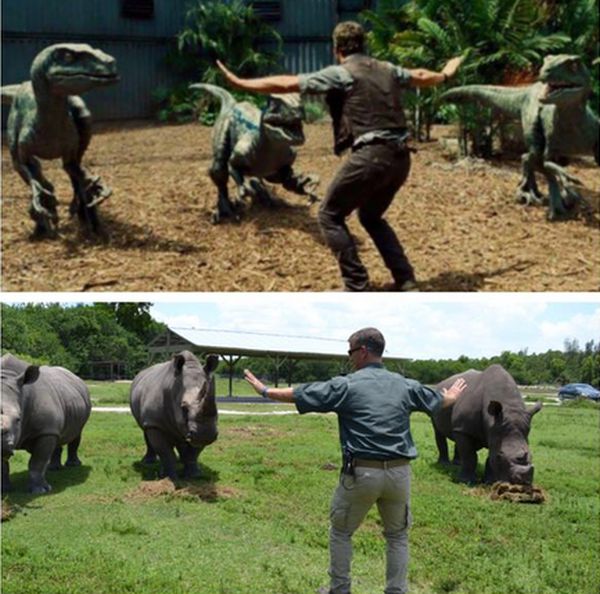 Zoo Staff Are Re-Creating “Jurassic World” With Their Animals  (20 pics)