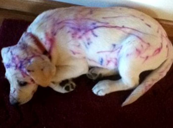 Photos That Sum Up The Experience Of Parenthood (46 pics)