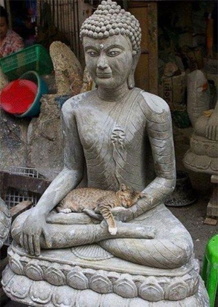 Acid Picdump (92 pics)
