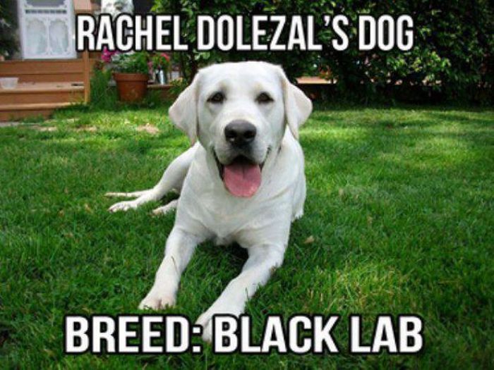 The Internet Reacts To Rachel Dolezal Pretending To Be Black (23 pics)