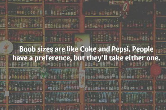 Amusing Truths That You Just Can't Argue With (12 pics)