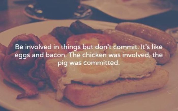 Amusing Truths That You Just Can't Argue With (12 pics)