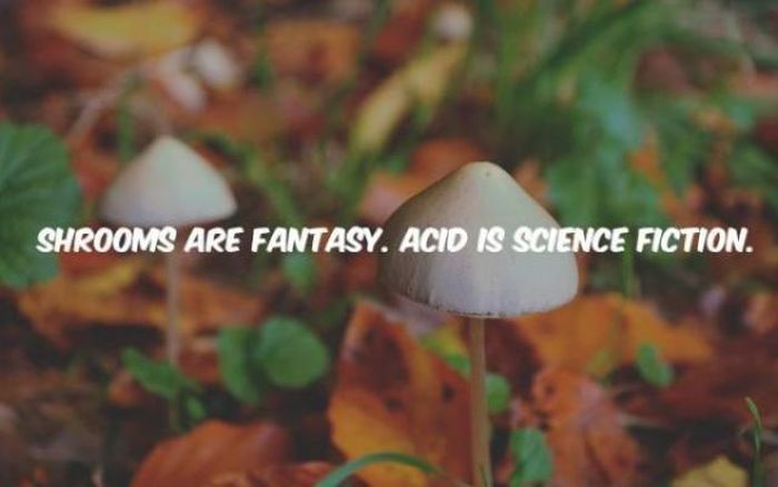 Amusing Truths That You Just Can't Argue With (12 pics)