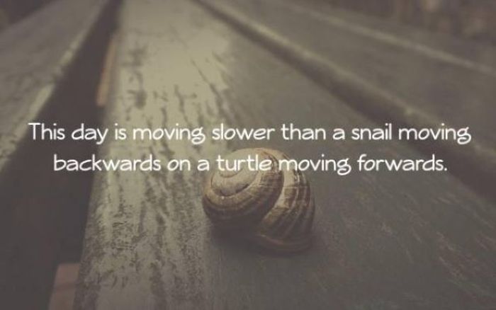 Amusing Truths That You Just Can't Argue With (12 pics)