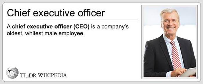 Wikipedia Definitions That Tell You Everything You Need To Know (24 pics)