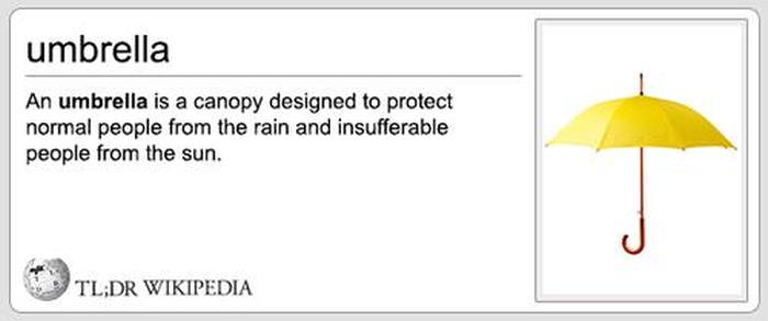 Wikipedia Definitions That Tell You Everything You Need To Know (24 pics)