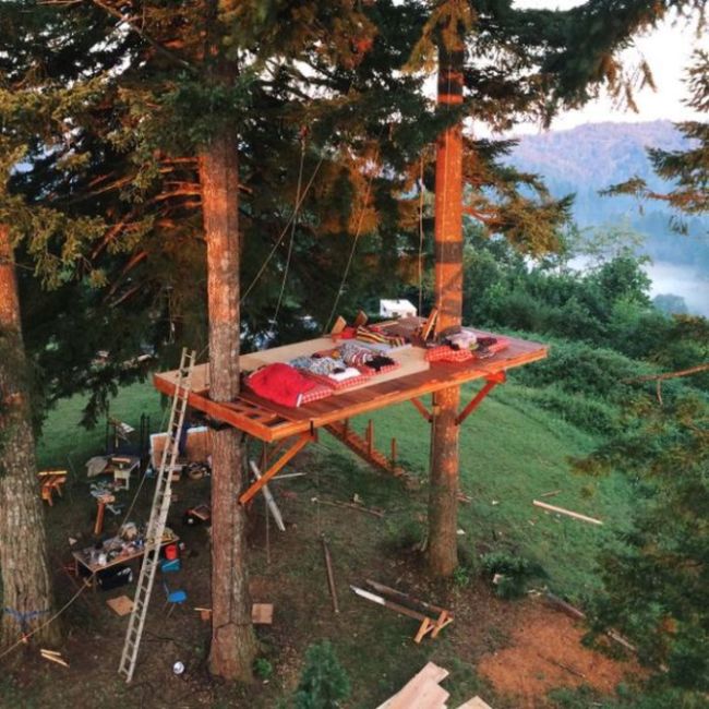 Designer Makes His Dream Come True By Building The Ultimate Tree House (19 pics)