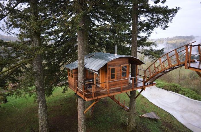 Designer Makes His Dream Come True By Building The Ultimate Tree House (19 pics)