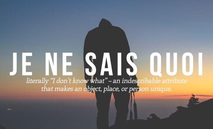 French Words And Phrases That Every Language Needs To Adopt (14 pics)